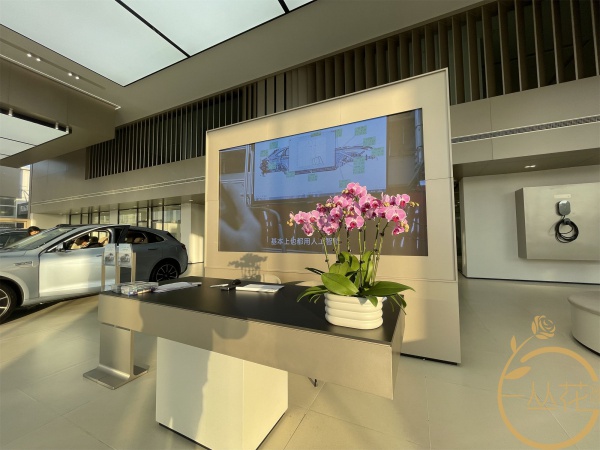 賽力斯汽車銷售公司4S店綠植擺放