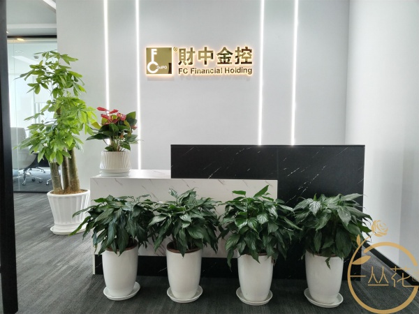 財務顧問公司蘇州花卉擺放設計