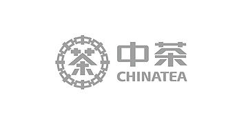 中茶视频制作