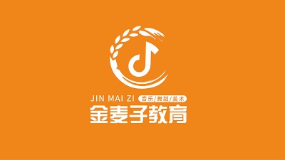 湖南金麦子教育集团校园文化建设，网站建设