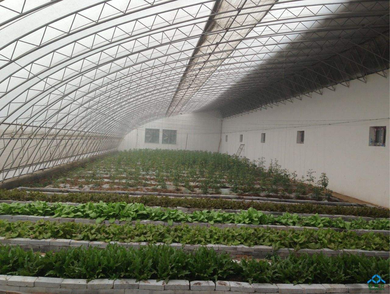 电锅炉采暖蔬菜大棚内景