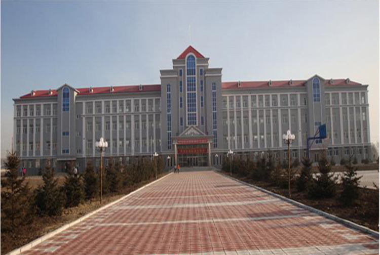 黑龙江省望奎县卫星中学电暖器采暖