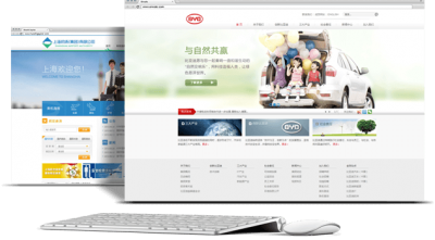 网站仿做/改版
