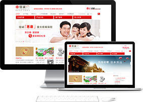 营销型网站建设